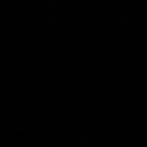 Meet your Posher, Alana